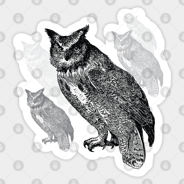 Lots of Spooky Owls, Great Horned Owl Pen and Ink Design Sticker by penandinkdesign@hotmail.com